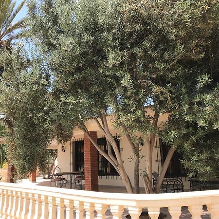 Tiguimi Vacances - Oasis Villas, Cadre Naturel Et Vue Montagne Agadir Eksteriør bilde