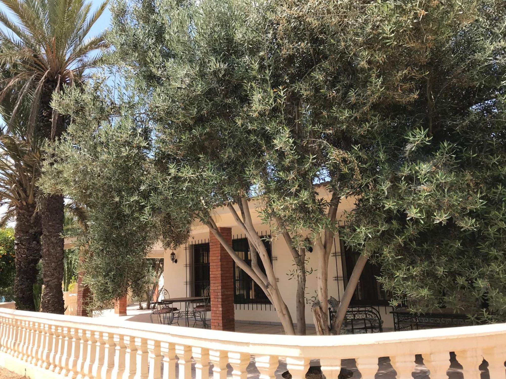 Tiguimi Vacances - Oasis Villas, Cadre Naturel Et Vue Montagne Agadir Eksteriør bilde