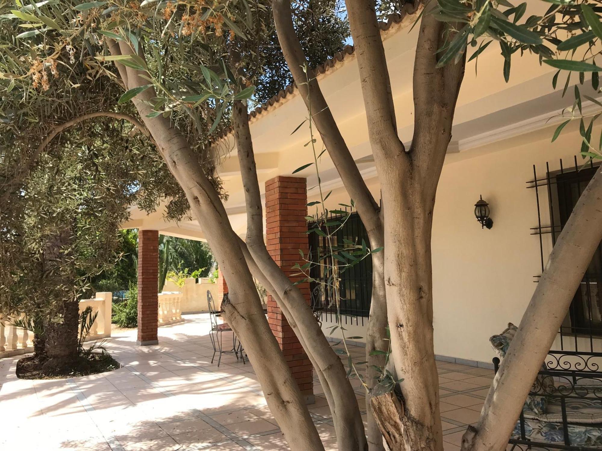 Tiguimi Vacances - Oasis Villas, Cadre Naturel Et Vue Montagne Agadir Eksteriør bilde