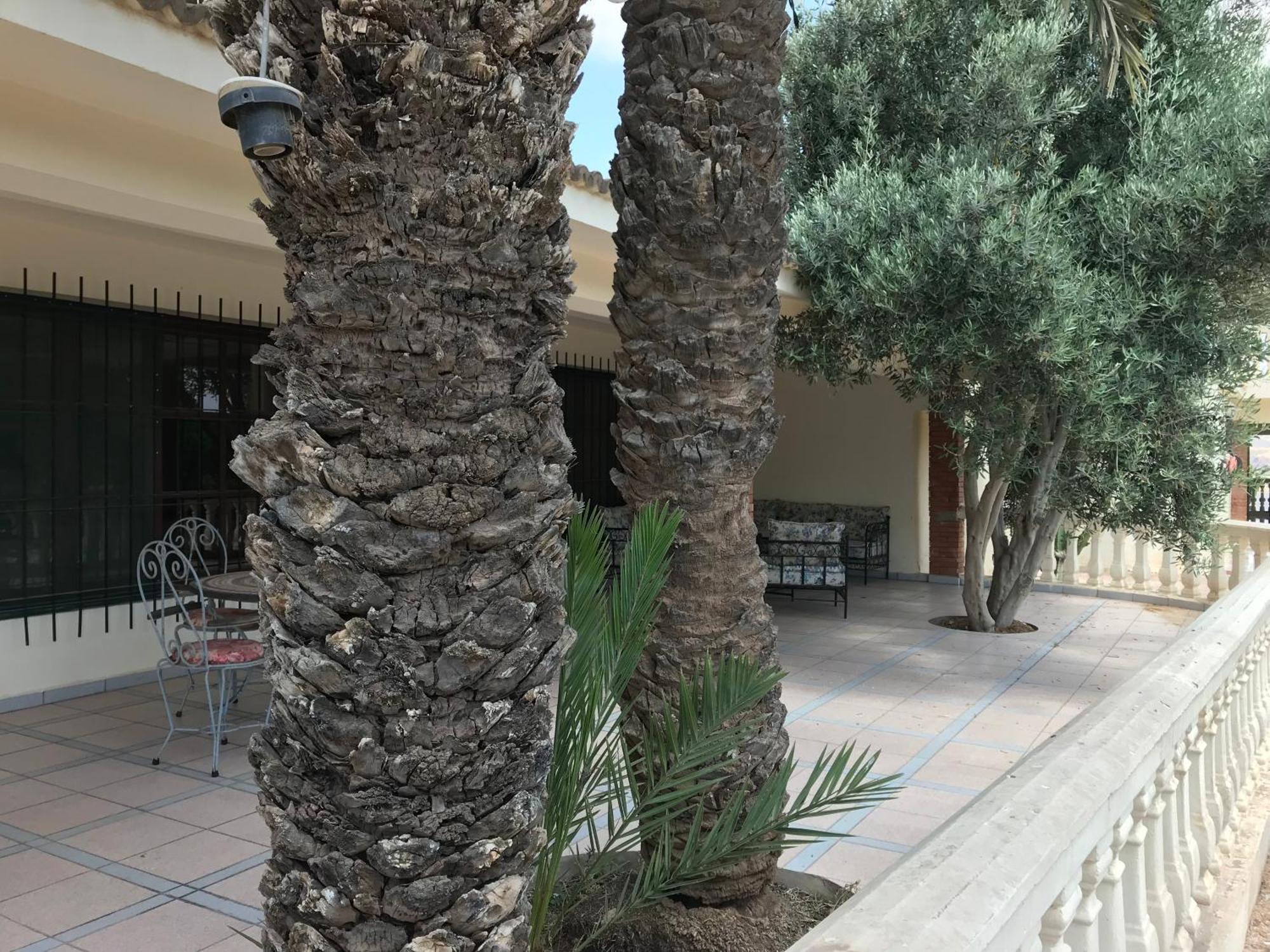 Tiguimi Vacances - Oasis Villas, Cadre Naturel Et Vue Montagne Agadir Eksteriør bilde