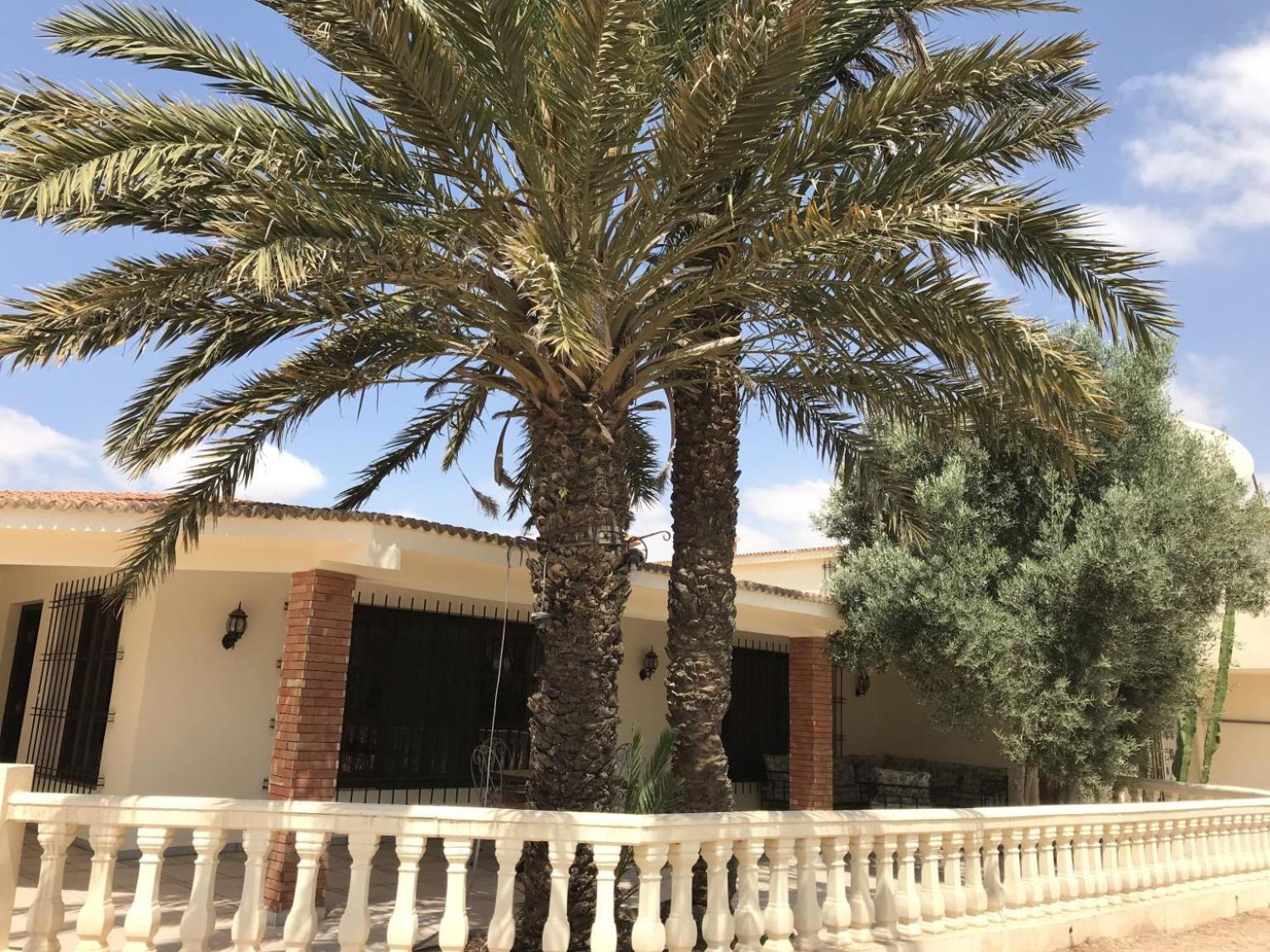Tiguimi Vacances - Oasis Villas, Cadre Naturel Et Vue Montagne Agadir Eksteriør bilde